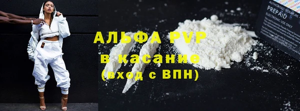 не бодяженный Иннополис