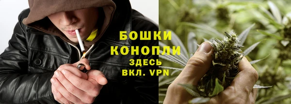 гидра Инсар