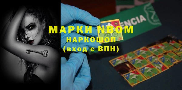 гидра Инсар