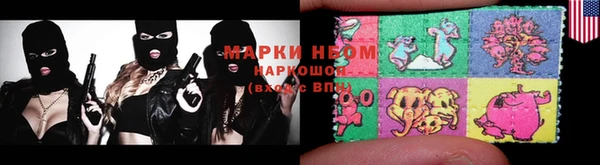 дживик Инта