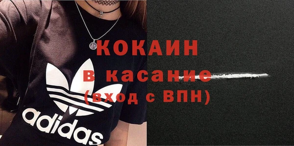 дживик Инта