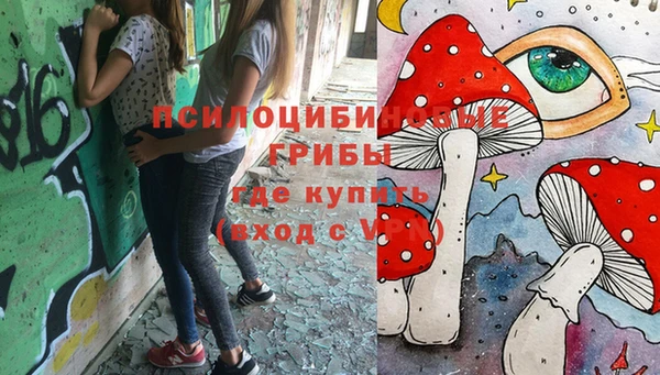 не бодяженный Иннополис