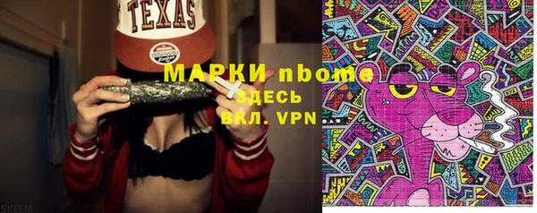 дживик Инта