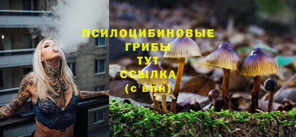 дживик Инта