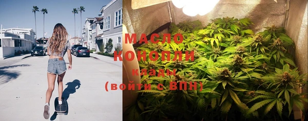 гидра Инсар