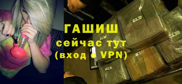 дживик Инта
