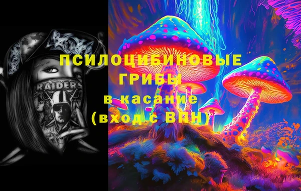 дживик Инта