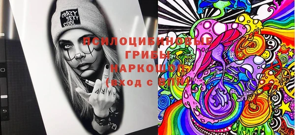 дживик Инта