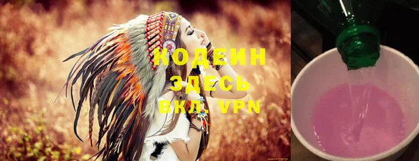 гидра Инсар