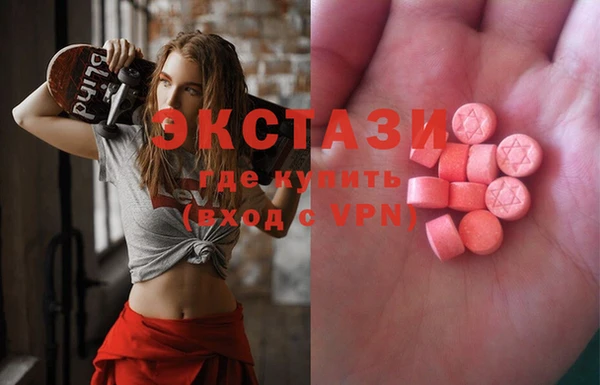 дживик Инта