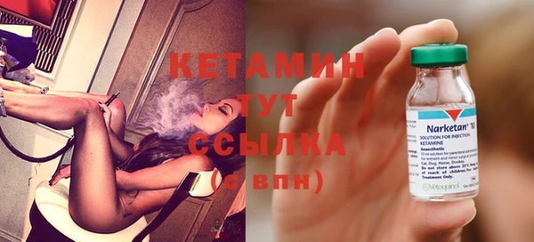 дживик Инта