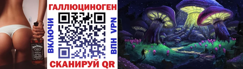 где можно купить наркотик  Люберцы  Псилоцибиновые грибы Psilocybine cubensis 