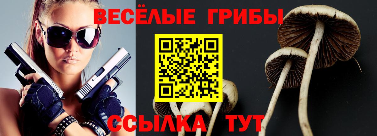 Псилоцибиновые грибы мухоморы Люберцы