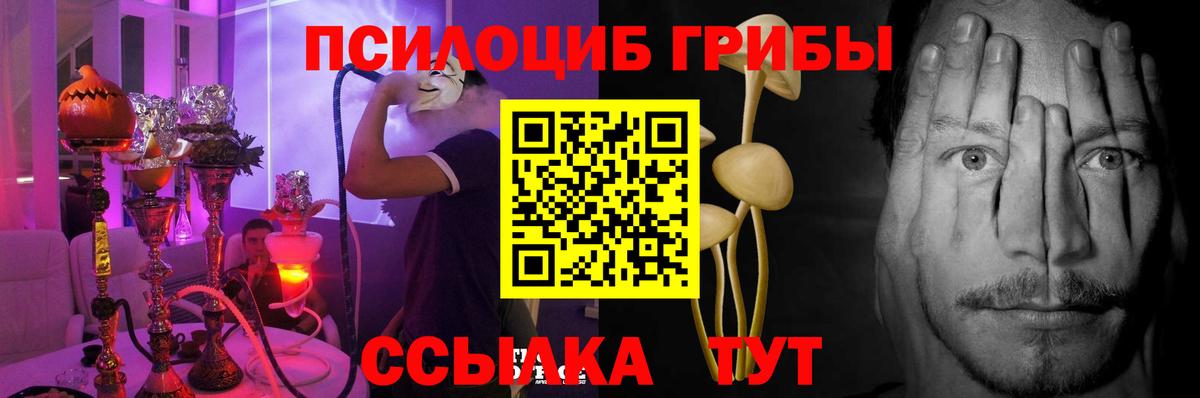 Люберцы  Галлюциногенные грибы мицелий  купить наркоту  Вход с VPN 